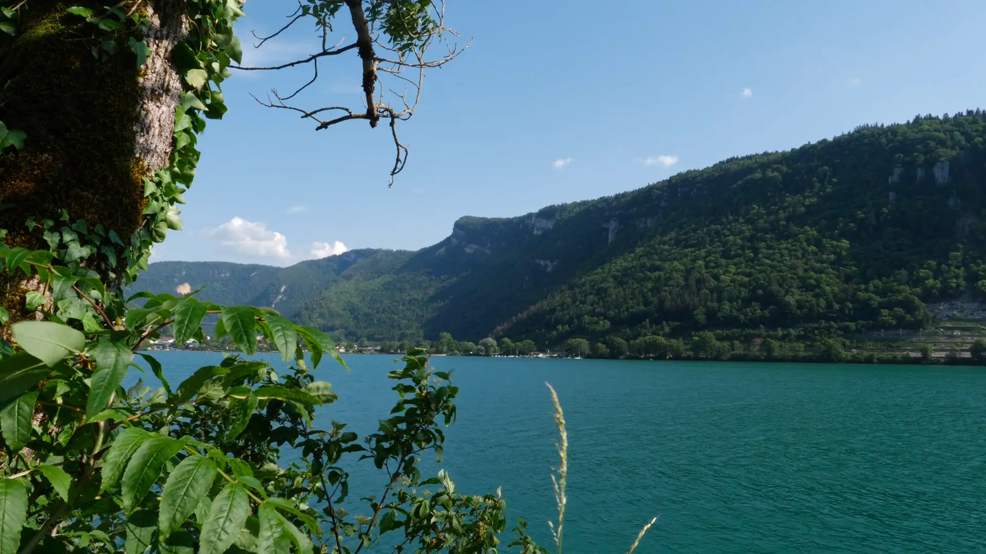 Bourg-en-Bresse landscape 2