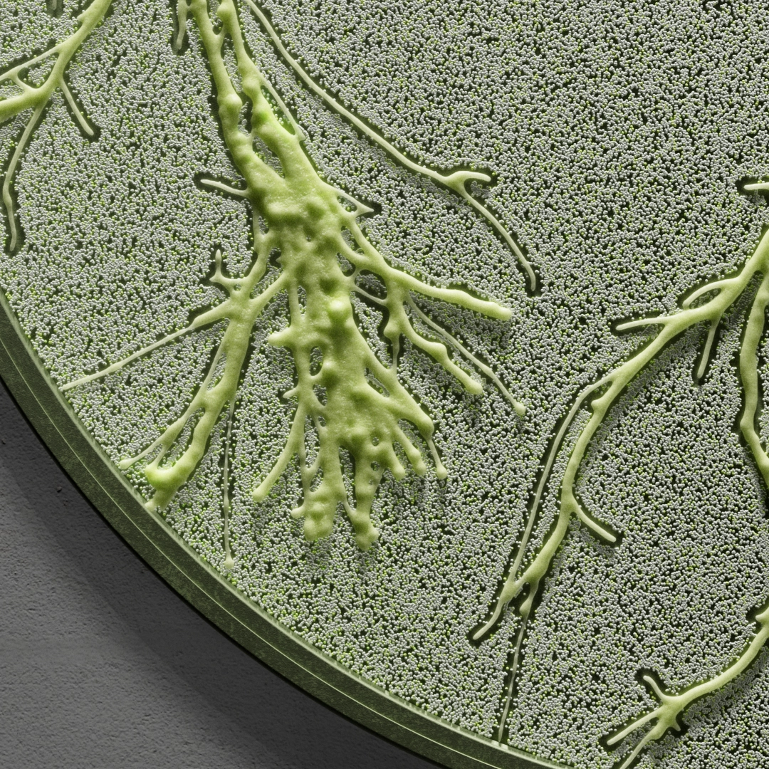 Collaboration culture