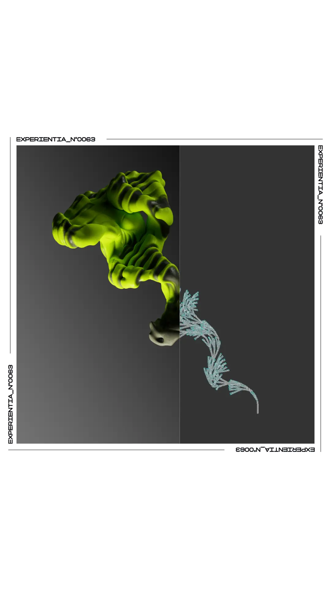 Cnidaria Numérique poster