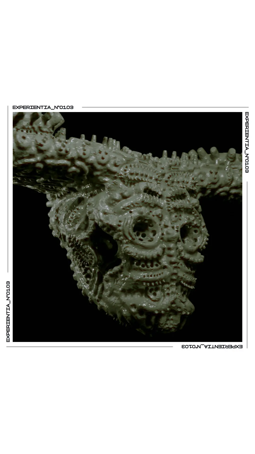 Vermiculus Effigies poster