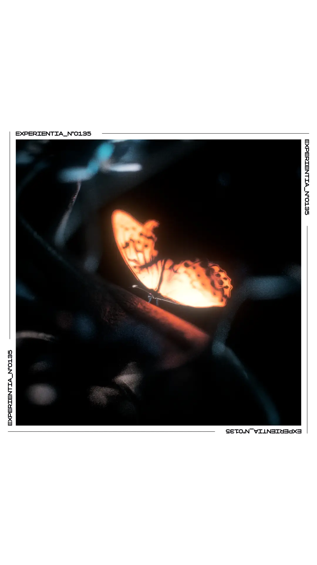 Méditation Divergente poster