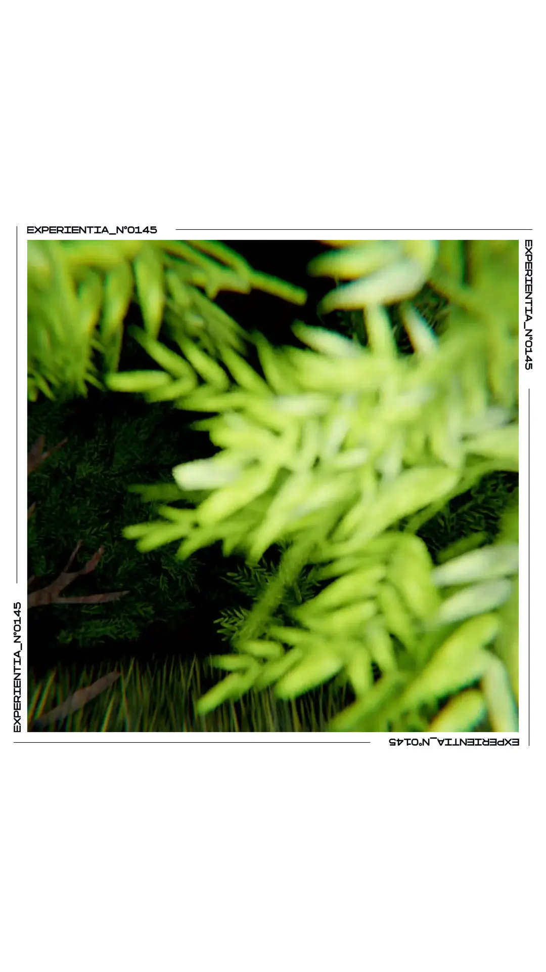 A Walkatthe Park poster