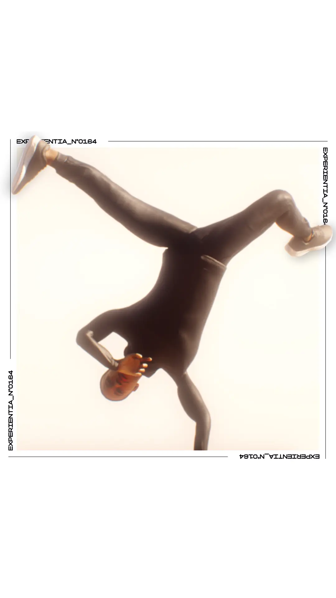 Wandering Commotion poster