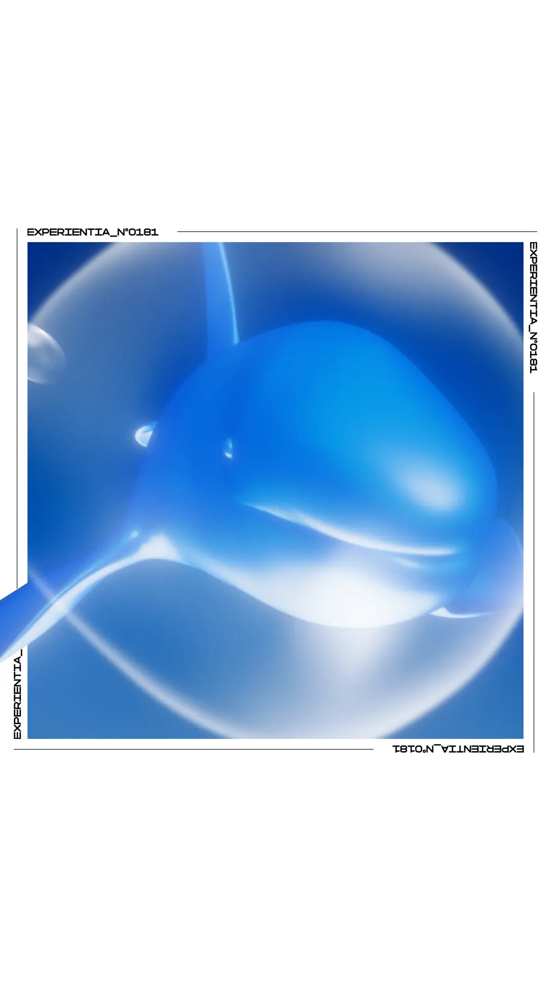 Cetacean Ballet poster