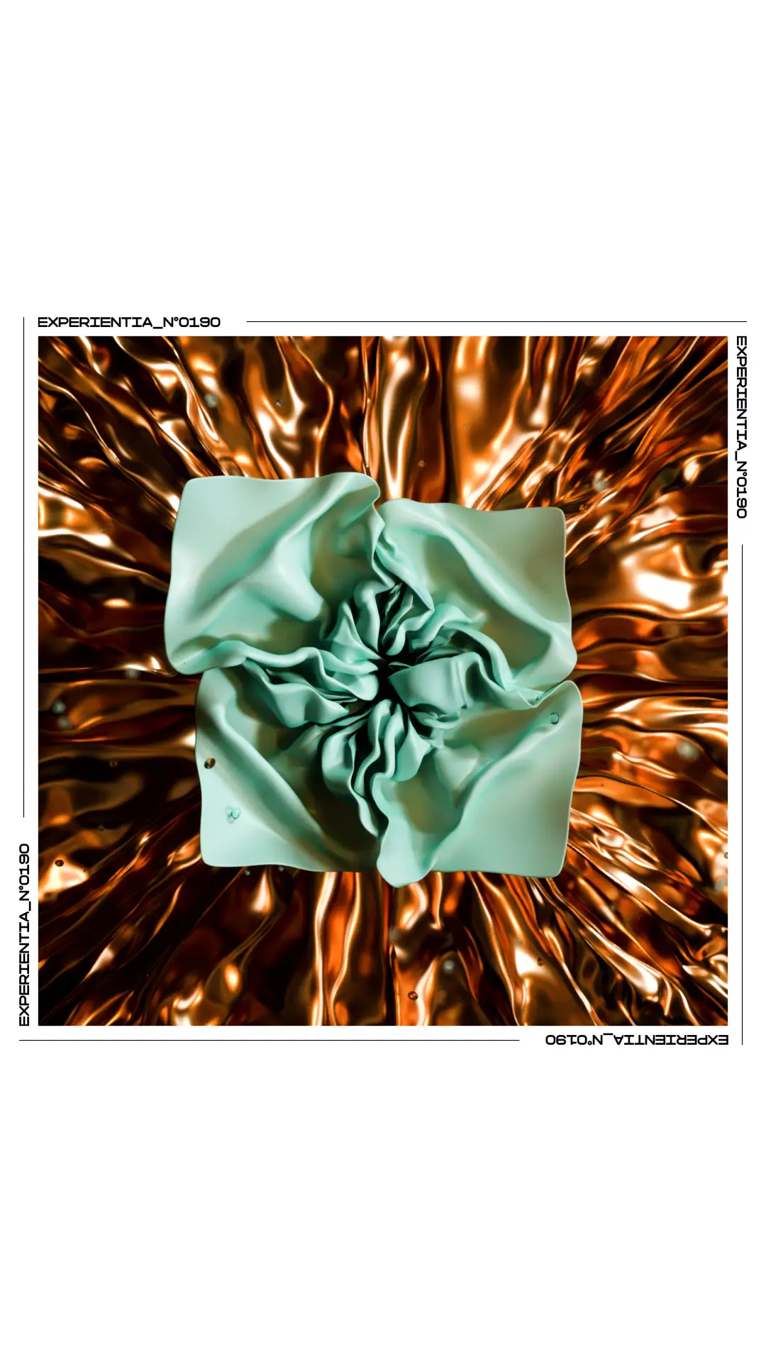 Fruitdu Hasard poster