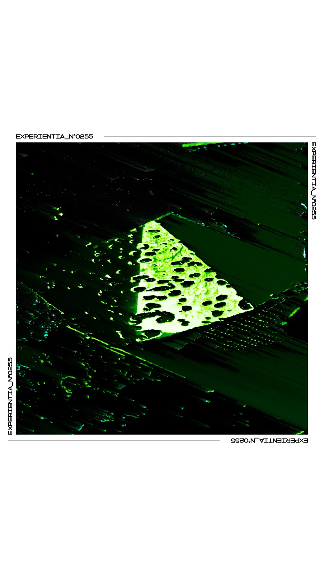 Digital Decay poster