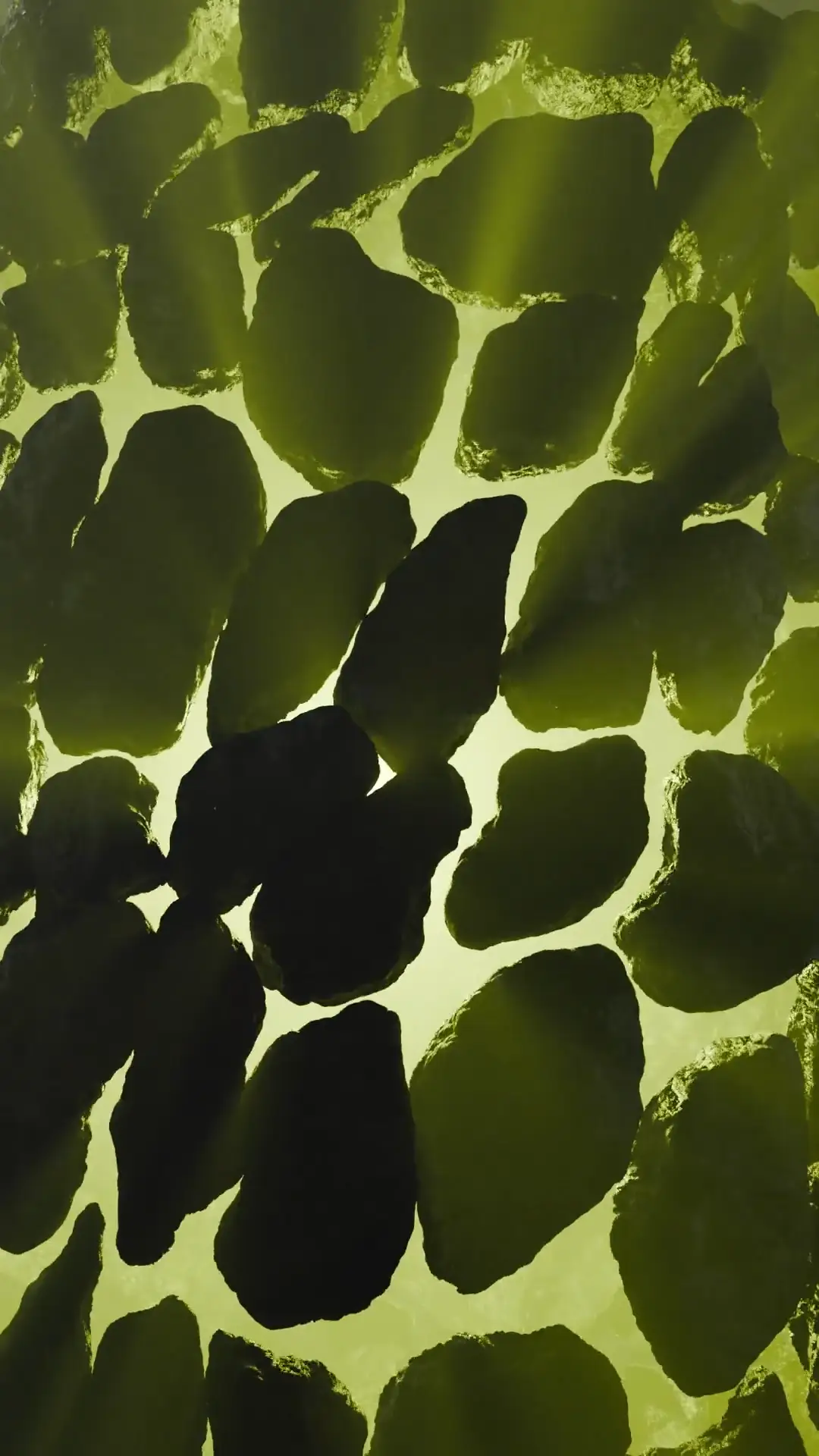 Lithic Technology poster