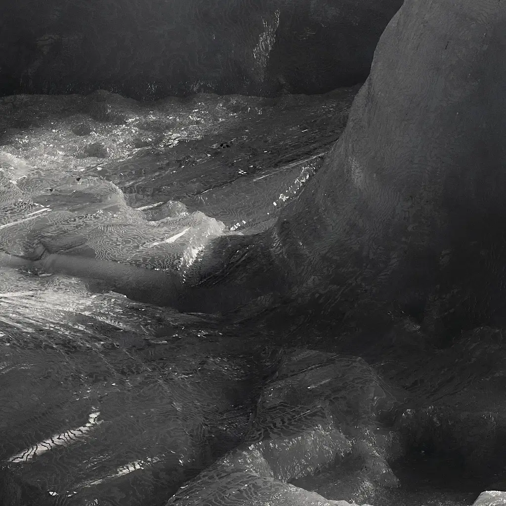 pages.news.articles.twelfth.title